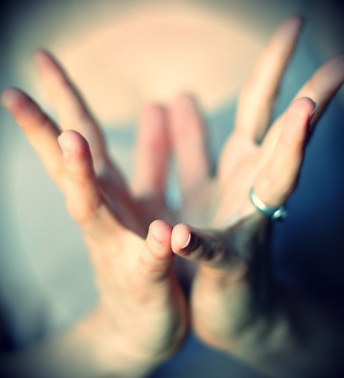 lotus-mudra-800x879